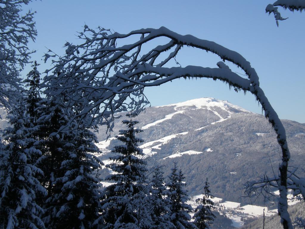 Oberlechnerhof Bed & Breakfast Разун ди Сопра Екстериор снимка